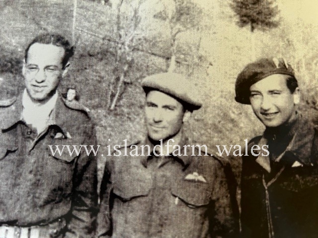 Karminski, Grant, and Lees