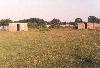 Island Farm 2